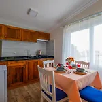 Infinity Lily フェティエ