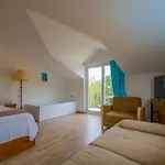 ホリデーパーク Infinity Lily フェティエ