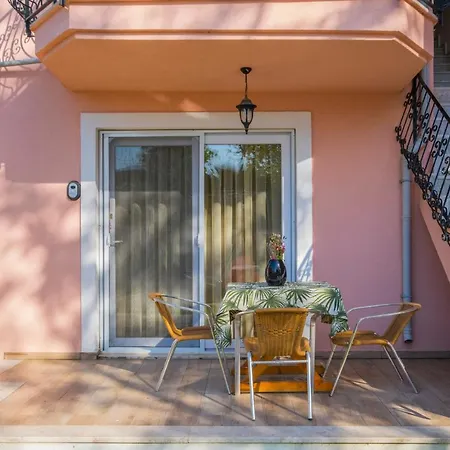 Infinity Lily 2* 페티예