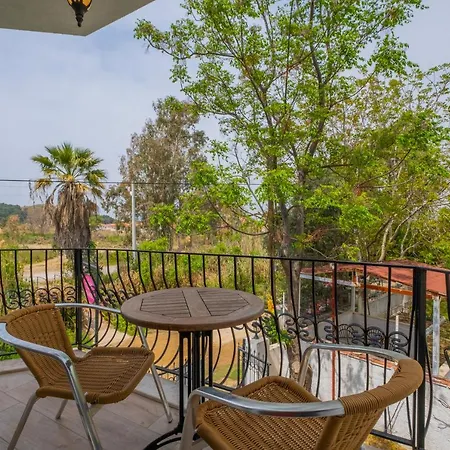 홀리데이파크 Infinity Lily 페티예